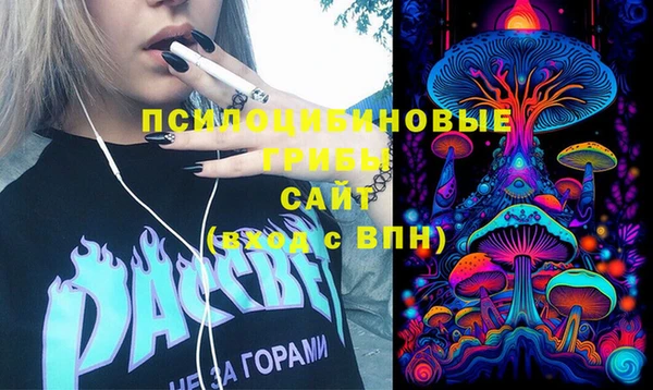 прущий лед Белокуриха