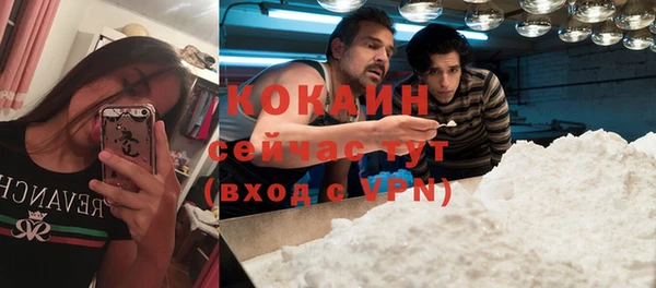 ALPHA PVP Богородицк